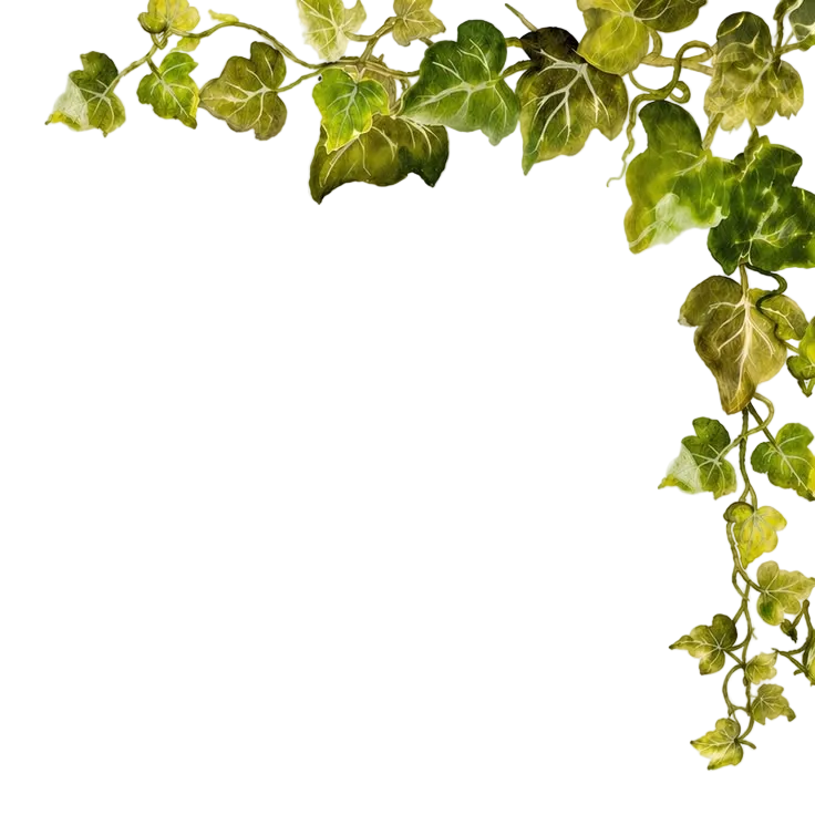 TEN AYURVEDIC HERBS,
AND NOTHING ELSE