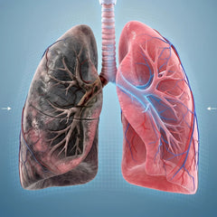 TarOut Lung Detox Tea Bags For Cold & Cough Relief