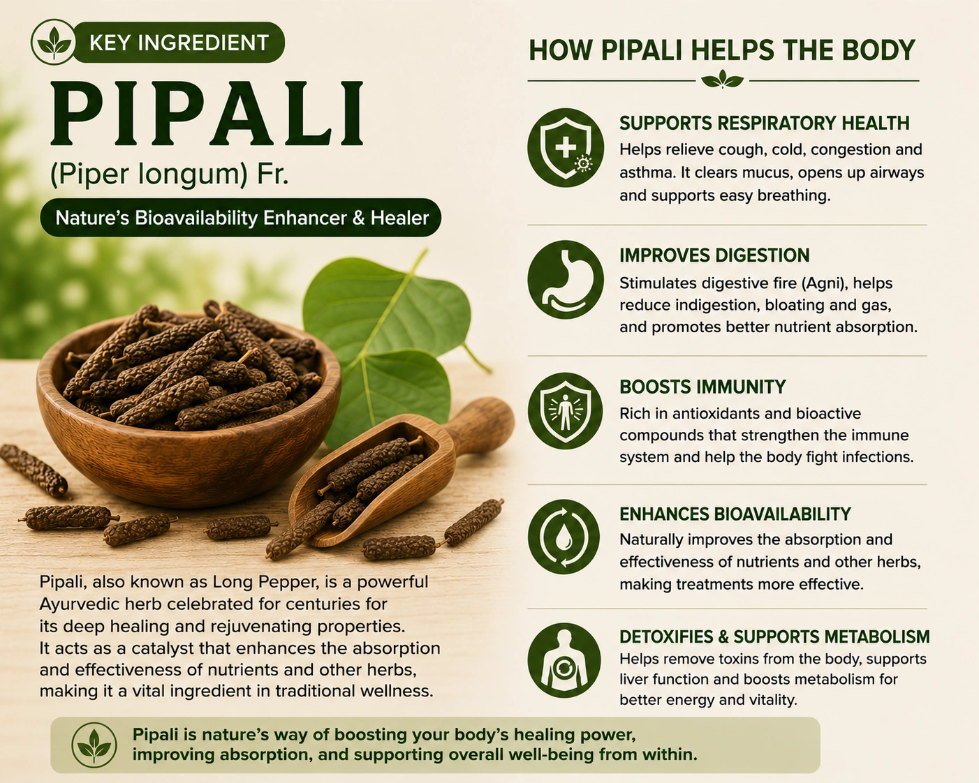 Pipali Ingredient