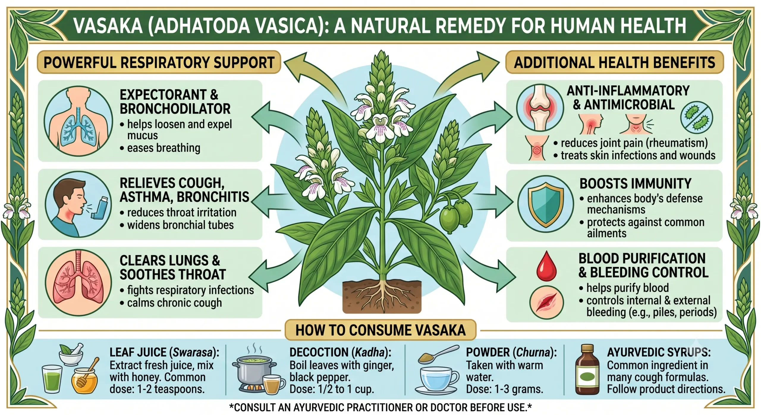 Vasaka Ingredient